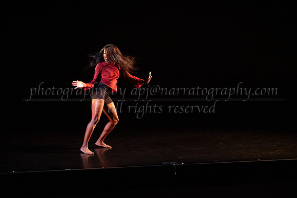 11 dsc_5599