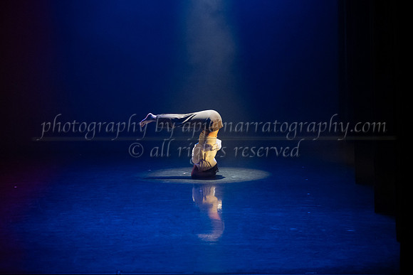 8 dsc_5260
