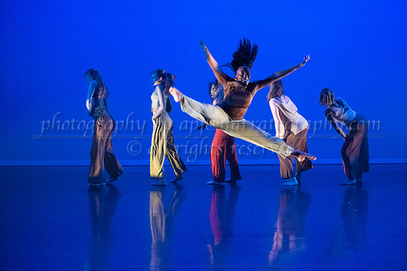 12 dsc_5714