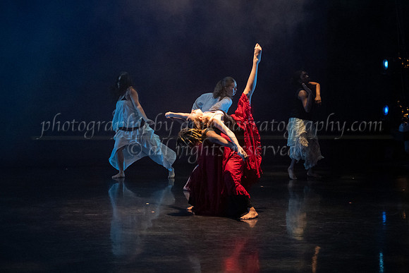 6 dsc_5065