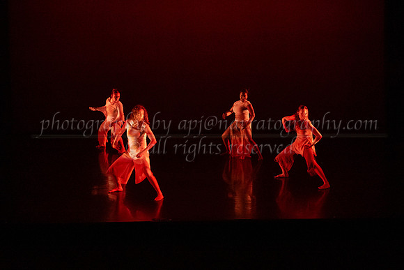 1 dsc_4755