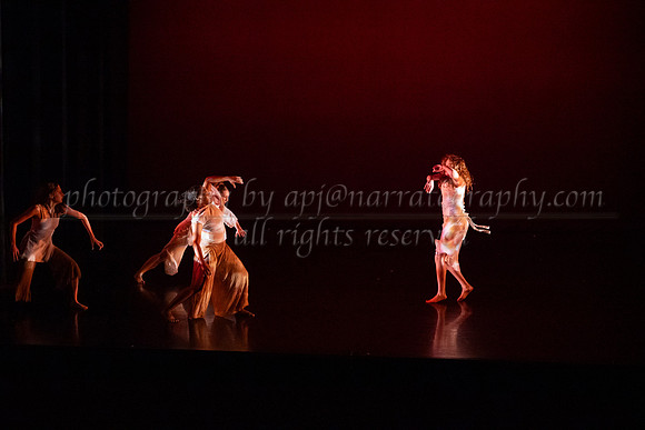 1 dsc_4774