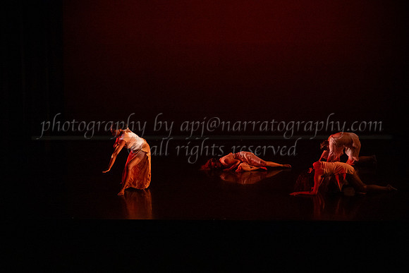 1 dsc_4784
