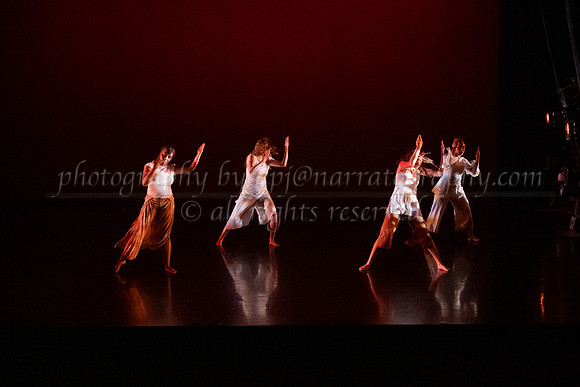 1 dsc_4782