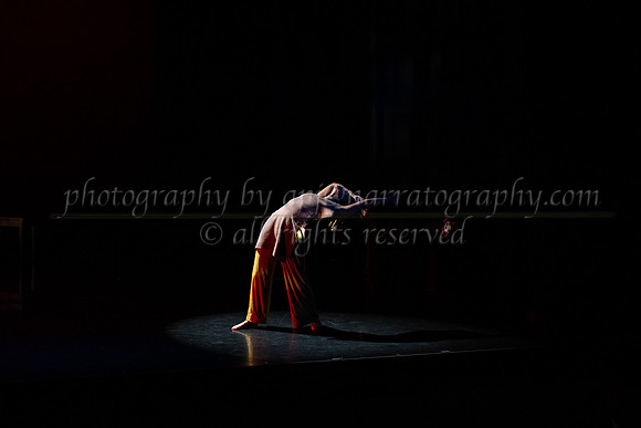 2 dsc_4849