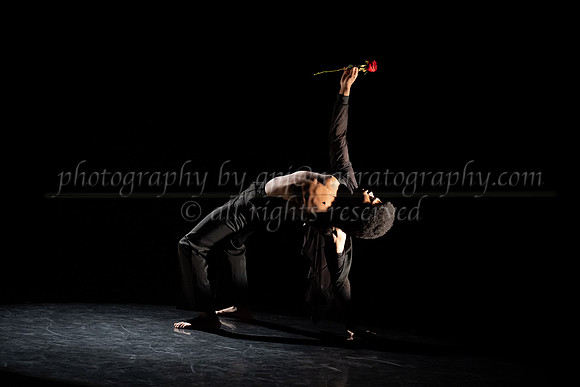 5 dsc_5000