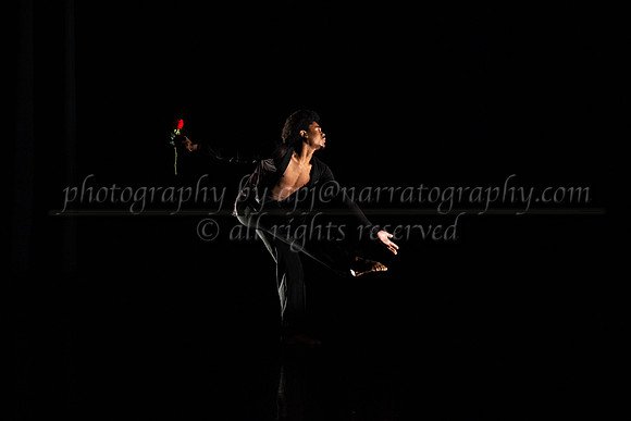 5 dsc_5004