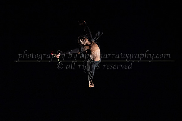 5 dsc_5005