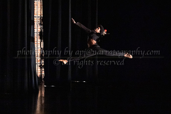 5 dsc_5008