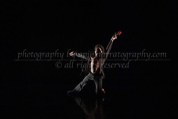 5 dsc_5029
