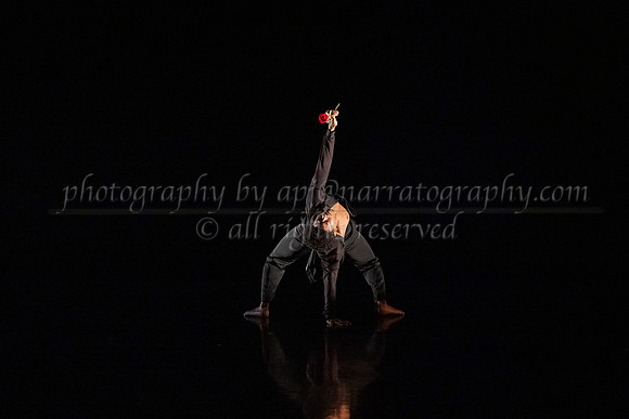 5 dsc_5028