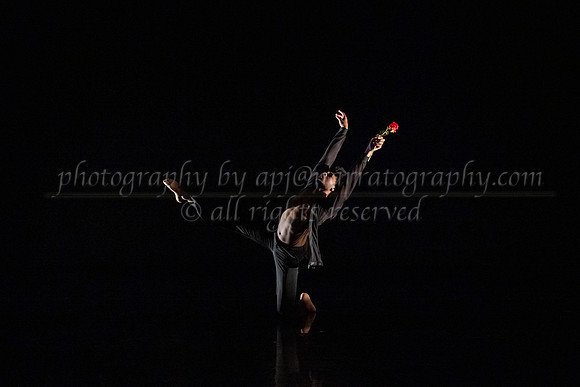 5 dsc_5030