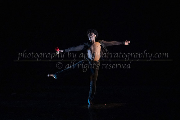 5 dsc_5034