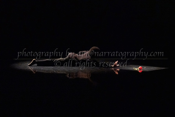 5 dsc_5038