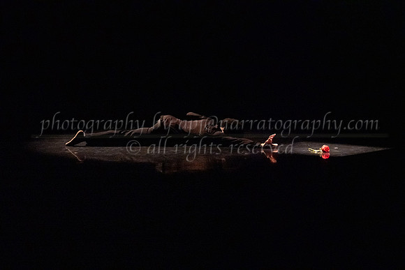 5 dsc_5039