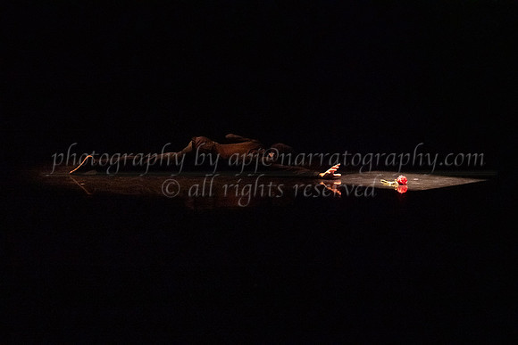 5 dsc_5040