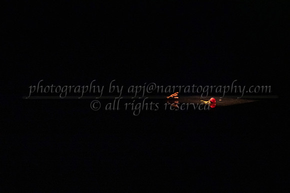 5 dsc_5041