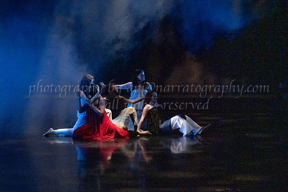 6 dsc_5043