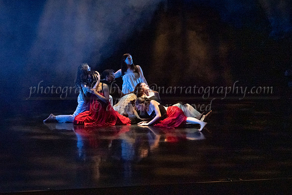 6 dsc_5045