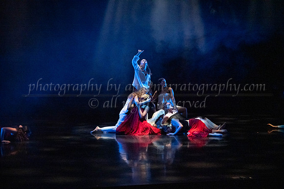 6 dsc_5050