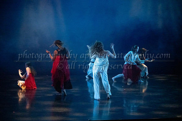 6 dsc_5061