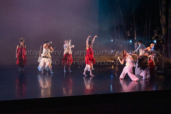 6 dsc_5085