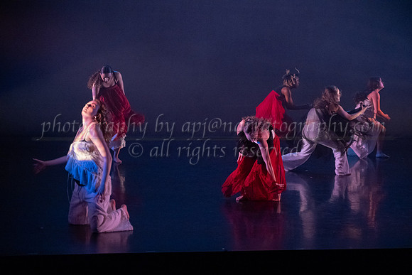 6 dsc_5093