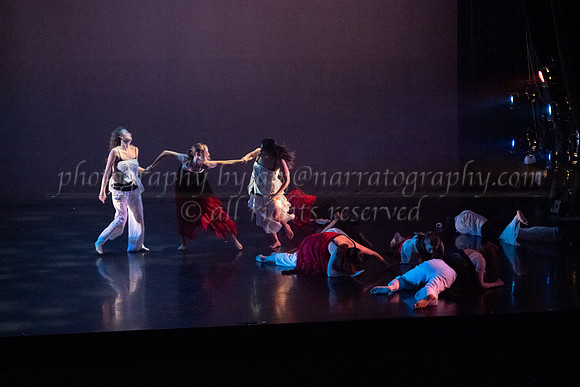 6 dsc_5117