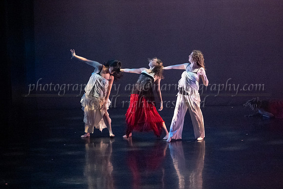 6 dsc_5118