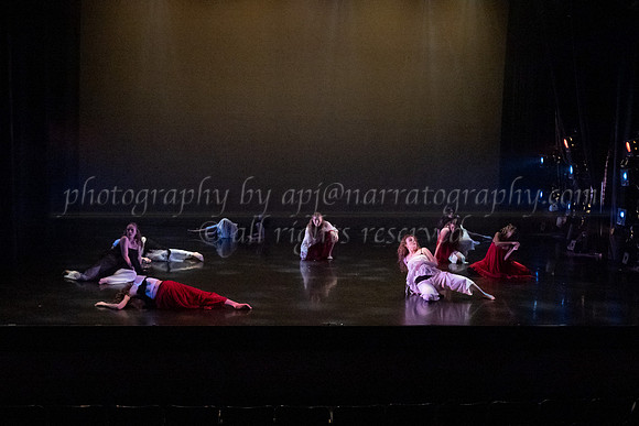 6 dsc_5135