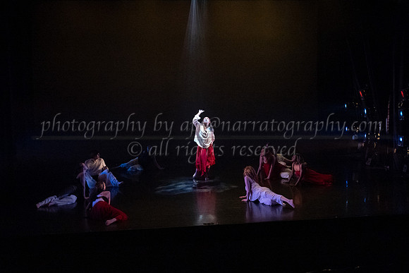 6 dsc_5138