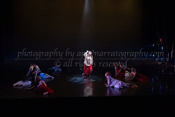 6 dsc_5137
