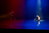 8 dsc_5263