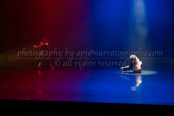 8 dsc_5263
