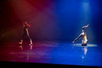 8 dsc_5271
