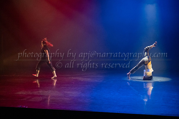 8 dsc_5271