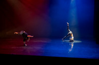 8 dsc_5274
