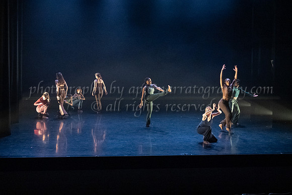 9 dsc_5337
