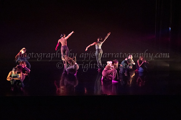 9 dsc_5393