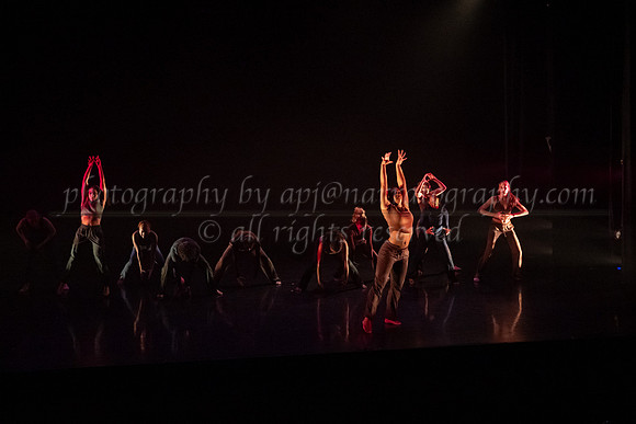 9 dsc_5431