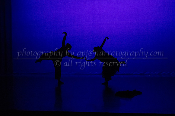 10 dsc_5515