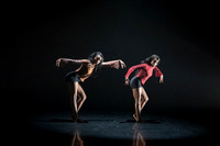 11 dsc_5548