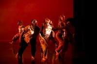 12 dsc_5635