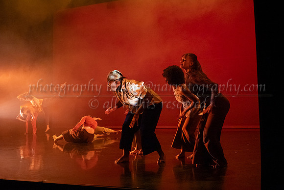 12 dsc_5640