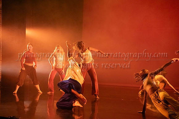 12 dsc_5647