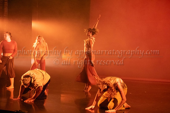 12 dsc_5648