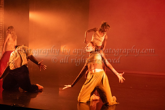 12 dsc_5649