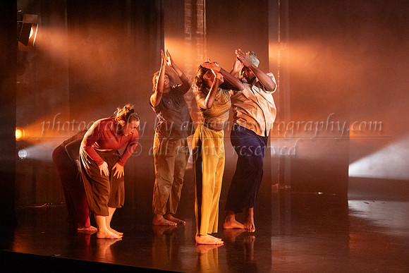 12 dsc_5652