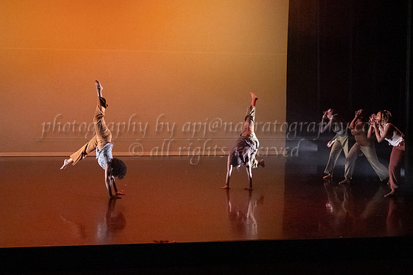 12 dsc_5677