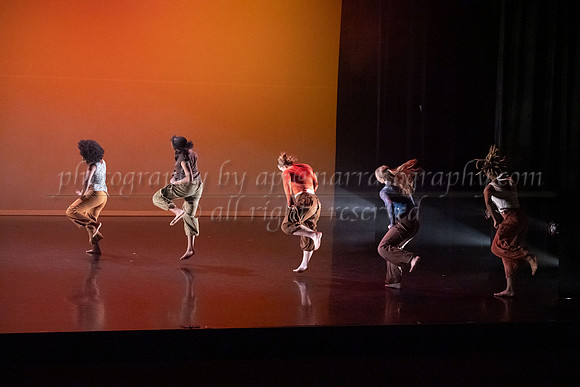 12 dsc_5679